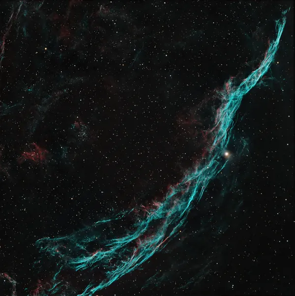 The Dragon in the Veil