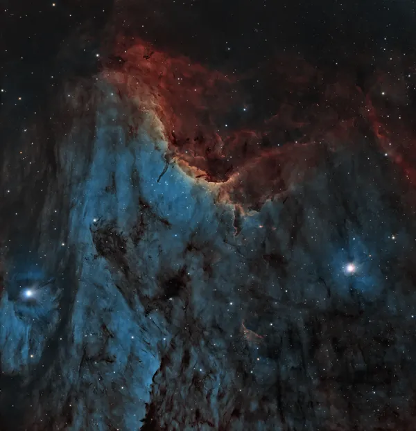 IC 5070, the Pelican Nebula