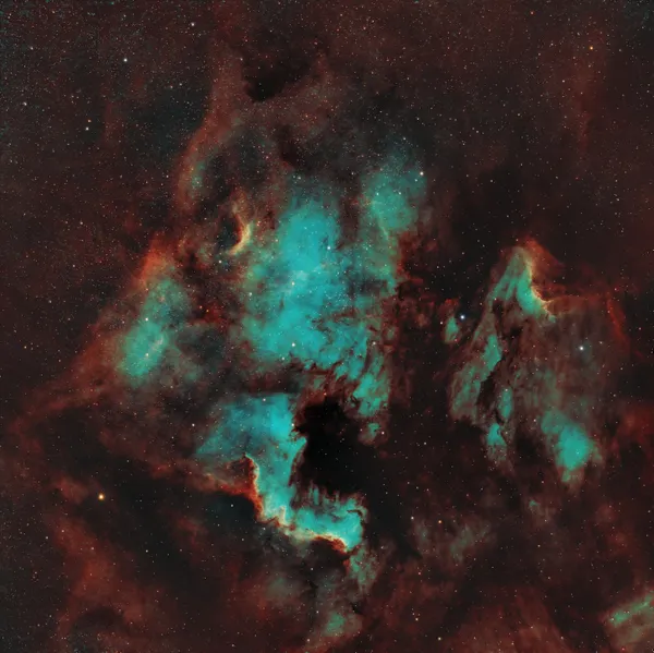The North America and Pelican Nebulae (Foraxx)