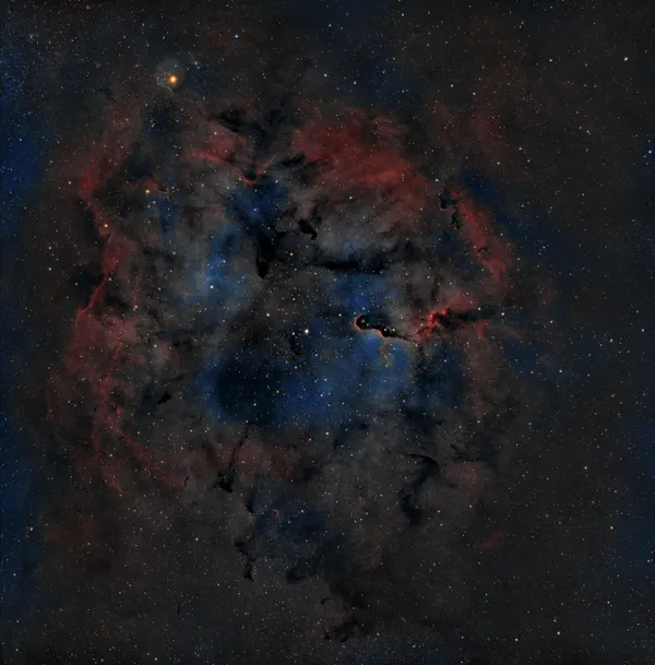 Mu Cephei Watching Over the Elephant's Trunk Nebula